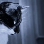 含み損ランキング・・・
