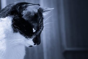 含み損ランキング・・・